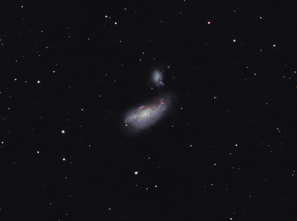 NGC 4490 and NGC 4485 in Canes Venatici