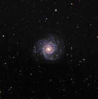 M74 in Pisces - The "Phantom Galaxy"