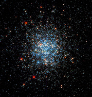 NGC 1866 in Dorado