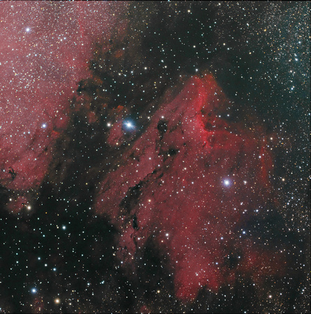 IC 5070 - "Pelican Nebula" in Cygnus