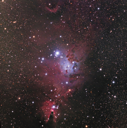 NGC 2264 Region (Sh2-273) in Monoceros