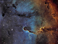 van den Bergh 142 (IC1396A and IC1396B) Hubble Palette