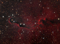 van den Bergh 142 - Elephant Trunk Nebula - Close Crop