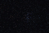 M44 - Beehive Cluster in Cancer