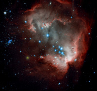 NGC 602 in Hydrus