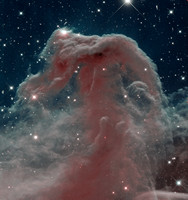 Horsehead Nebula (B33) in Orion