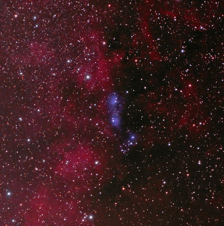 NGC 6914 in Cygnus - Single Frame