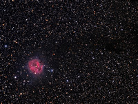 IC5146 - Cocoon Nebula in Cygnus