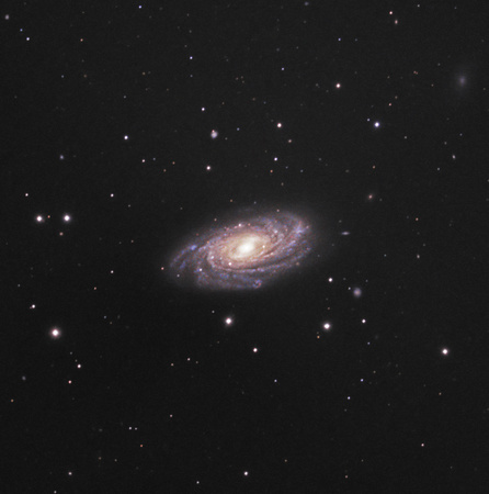 NGC 3953 in Ursa Major
