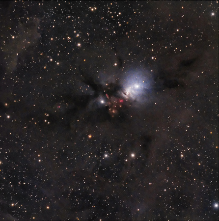 NGC 1333 in Perseus