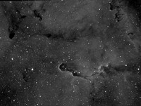 van den Bergh 142 (IC 1396A and IC 1396B) in Cepheus