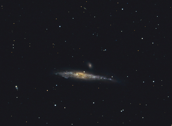 NGC 4631 - Whale Galaxy in Canes Venatici