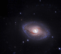 NGC 6782 in Pavo