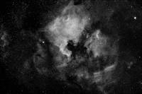 North America and Pelican Nebulae Complex In Cygnus