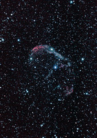 NGC6888 "Crescent Nebula" In Cygnus
