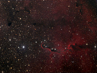 IC1396 - Elephant Trunk Nebula and Region in Cepheus
